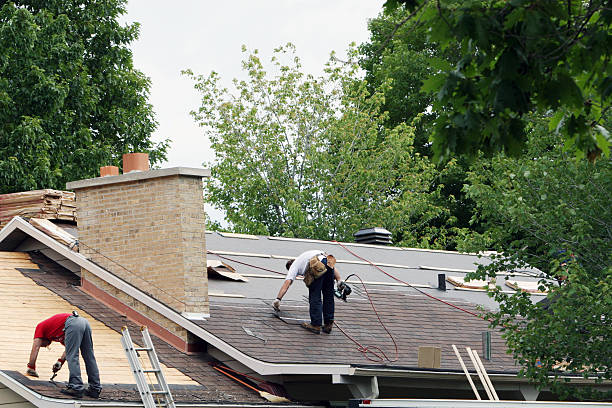 Best Roof Moss and Algae Removal  in Ellsworth, ME