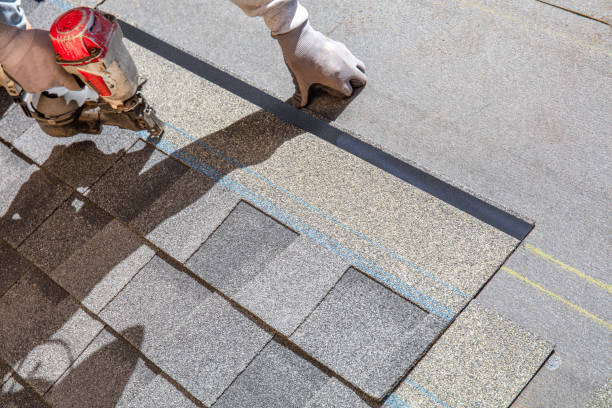 Best Roof Insulation Installation  in Ellsworth, ME